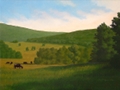 Black Angus Grazing in the Countryside - Original Landscape painting by Paul Keysar